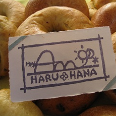 haruhana